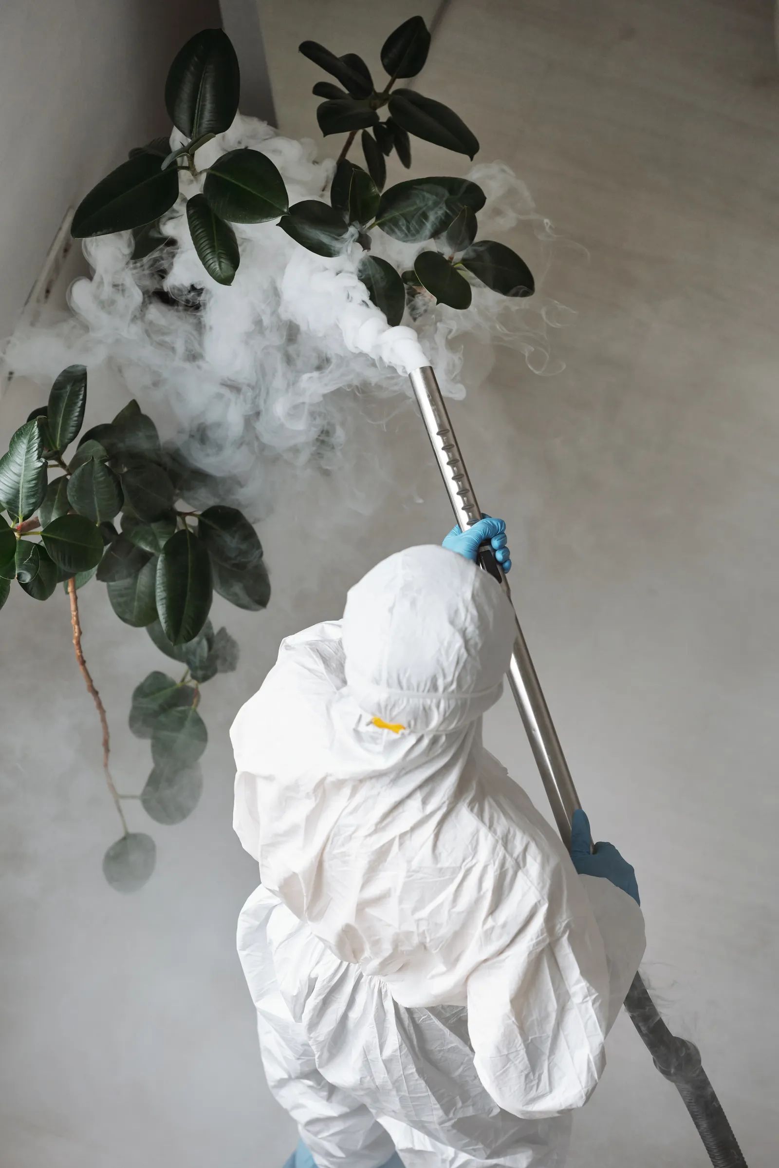 Technician treating plants near a home exterior